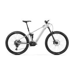 Mondraker Chaser 750 (Gebraucht)