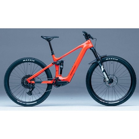 Steppenwolf Tundra 9