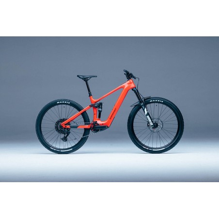 Steppenwolf Tundra 9